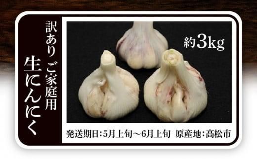 訳あり ご家庭用 生にんにく 約3kg【2026-5月上旬～2026-6月上旬配送】 372013_T006-140J