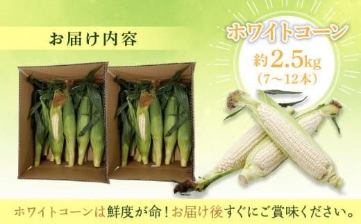 上品な甘さ 瀬戸内 ホワイトコーン 約2.5kg【2026-6月中旬～2026-7月中旬配送】 372013_T006-141J