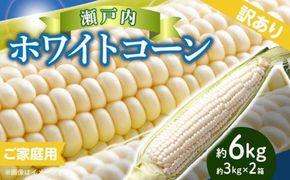 訳あり ご家庭用 瀬戸内ホワイトコーン 約6kg【2026-6月中旬～2026-7月中旬配送】 372013_T006-142J