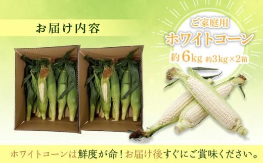 訳あり ご家庭用 瀬戸内ホワイトコーン 約6kg【2026-6月中旬～2026-7月中旬配送】 372013_T006-142J
