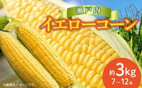 ＼寄附額改定／瀬戸内イエローコーン 約3kg【2026-6月上旬～2026-7月中旬配送】 372013_T006-143J