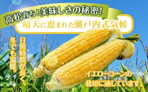 訳あり ご家庭用 瀬戸内イエローコーン 約8kg【2026-6月上旬～2026-7月中旬配送】 372013_T006-144J