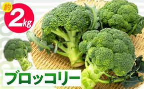 ブロッコリー 約2kg【2025-11月中旬～2026-5月下旬配送】 372013_T006-145J