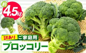 訳あり ご家庭用ブロッコリー 約4.5kg【2025-11月中旬～2026-5月下旬配送】 372013_T006-146J