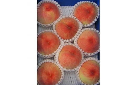 香川の桃 化粧箱　約1.8kg【2026-6月中旬～2026-8月上旬配送】 372013_T006-147J