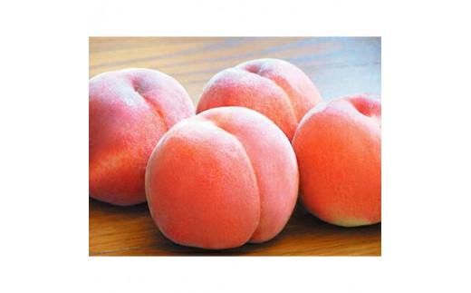 香川の桃 化粧箱　約1.8kg【2026-6月中旬～2026-8月上旬配送】 372013_T006-147J