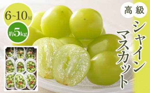 高級  シャインマスカット 約5kg【2026-7月下旬～2026-8月下旬配送】 372013_T006-149J