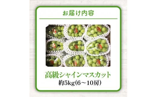 高級  シャインマスカット 約5kg【2026-7月下旬～2026-8月下旬配送】 372013_T006-149J
