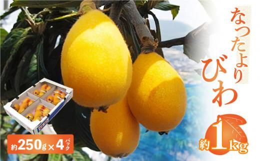 なつたよりびわ　約1kg (約250g×4パック)【2027-5月中旬～2027-6月中旬配送】 372013_T006-153J