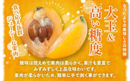 なつたよりびわ　約1kg (約250g×4パック)【2027-5月中旬～2027-6月中旬配送】 372013_T006-153J