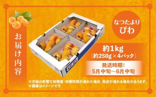 なつたよりびわ　約1kg (約250g×4パック)【2027-5月中旬～2027-6月中旬配送】 372013_T006-153J