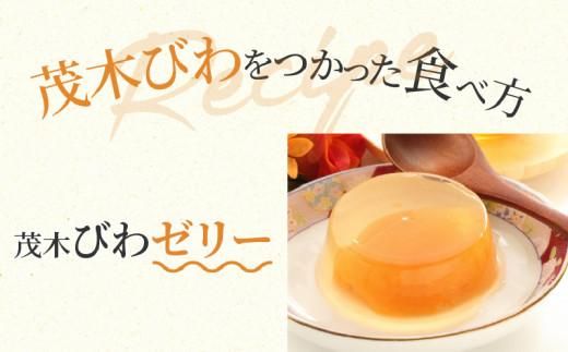 茂木びわ 約1kg (約250g×4パック)【2026-5月中旬～2026-6月中旬配送】 372013_T006-155J