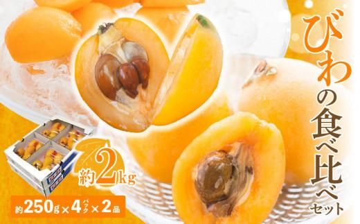 びわの食べ比べセット 約2kg【2026年5月上旬～2026年6月中旬配送】 372013_T006-157J
