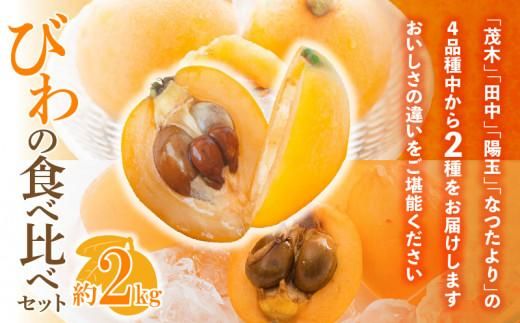 びわの食べ比べセット 約2kg【2026年5月上旬～2026年6月中旬配送】 372013_T006-157J