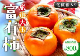 厳選大玉 富有柿 化粧箱 約800g【2026年10月下旬～2026年12月中旬配送】 372013_T006-162J