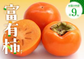 富有柿　約9kg【2026年10月下旬～2026年12月中旬配送】 372013_T006-168J