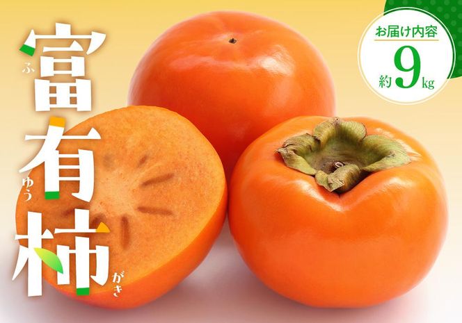 y쌧szxL`@9kgy2025-10{`2025-12{zz 372013_T006-168J