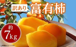 訳あり　富有柿　約7kg【2026年10月下旬～2026年12月中旬配送】 372013_T006-169J