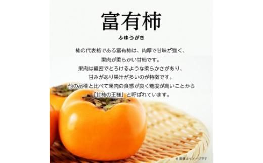 訳あり　富有柿　約7kg【2026年10月下旬～2026年12月中旬配送】 372013_T006-169J