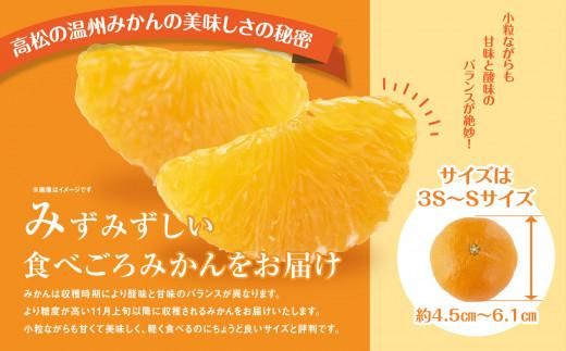 【先行予約】瀬戸内温州みかん　M～3Sサイズ　約10kg【2026年10月上旬～2027年1月下旬配送】 372013_T006-173J