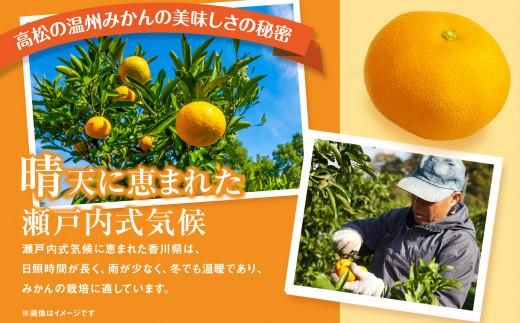 瀬戸内温州みかん　厳選高糖度　約10kg【2026年10月中旬～2027年1月中旬配送】 372013_T006-175J