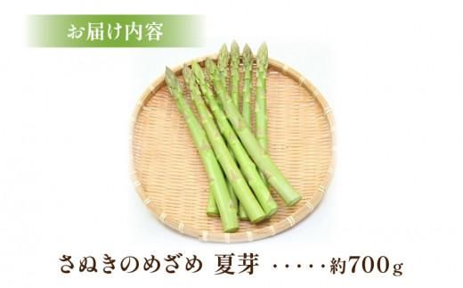 さぬきのめざめ 夏芽 約700g アスパラガス【2026-6月上旬～2026-11月上旬配送】 372013_T006-176J