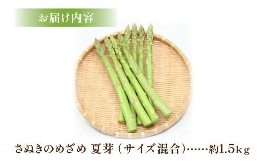 さぬきのめざめ 夏芽 ( サイズ 混合 ) 約1.5kg アスパラガス【2026-5月上旬～2026-11月上旬配送】 372013_T006-179J