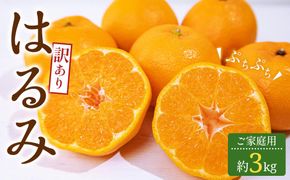 訳あり ご家庭用 はるみ 約3kg【2026-2月上旬～2026-3月下旬配送】 372013_T006-183J