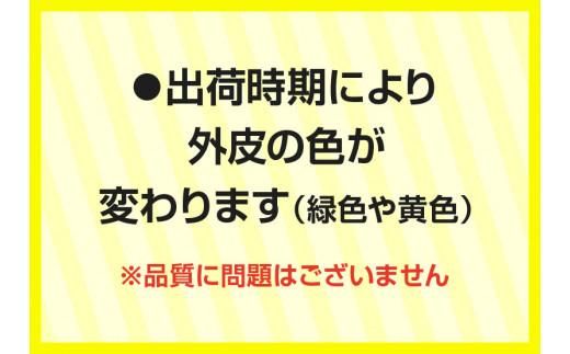 訳あり 加工用 レモン (サイズ混合) 3kg【2025年11月下旬～2026年4月上旬配送】 372013_T006-189J