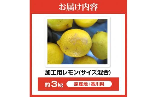 訳あり 加工用 レモン (サイズ混合) 3kg【2025年11月下旬～2026年4月上旬配送】 372013_T006-189J