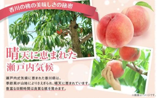 香川の桃(小玉) 約3.6kg【2026年6月中旬～2026年8月上旬配送】 372013_T006-192J