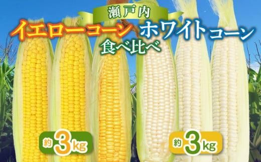 瀬戸内ホワイトコーン・イエローコーン食べ比べ 各約3kg【2026-6月中旬～2026-7月中旬配送】 372013_T006-203J
