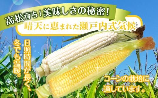 瀬戸内ホワイトコーン・イエローコーン食べ比べ 各約3kg【2026-6月中旬～2026-7月中旬配送】 372013_T006-203J