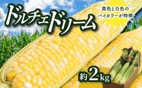 ＼寄附額改定／ドルチェドリーム 約2kg(高松市)【2026年6月上旬～2026年7月上旬配送】 372013_T006-205J