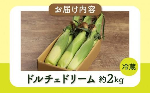 ＼寄附額改定／ドルチェドリーム 約2kg(高松市)【2026年6月上旬～2026年7月上旬配送】 372013_T006-205J