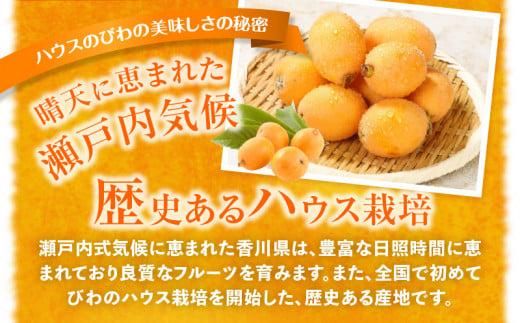 ハウスびわ 約1kg【2026-4月中旬～2026-5月上旬配送】 372013_T006-208J