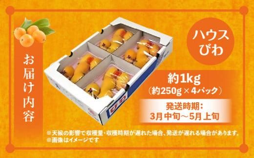 ハウスびわ 約1kg【2026-4月中旬～2026-5月上旬配送】 372013_T006-208J