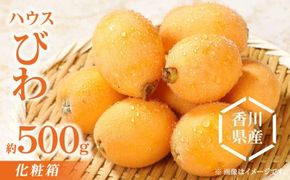 ハウスびわ化粧箱 約500g【2026-4月中旬～2026-5月上旬配送】 372013_T006-209J