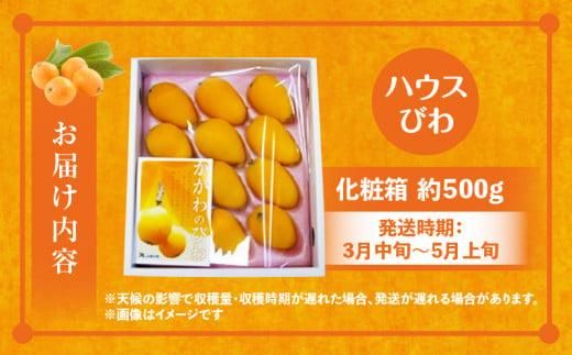 ハウスびわ化粧箱 約500g【2026-4月中旬～2026-5月上旬配送】 372013_T006-209J