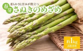 柔らかさと甘みが際立つ さぬきのめざめ春芽 約1kg【2026-3月上旬～2026-4月下旬配送】 372013_T006-210J
