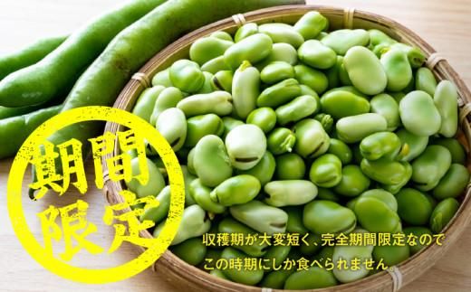 旬の味覚 そらまめ 約2kg【2026年5月上旬～2026年6月上旬配送】 372013_T006-214J