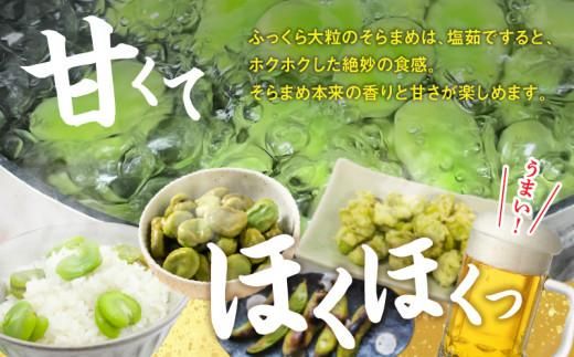 旬の味覚 そらまめ 約2kg【2026年5月上旬～2026年6月上旬配送】 372013_T006-214J
