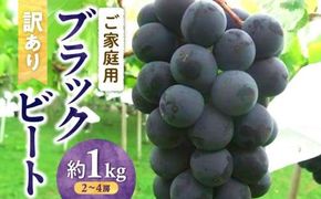 訳あり ご家庭用 ブラックビート 約1kg【2026年8月中旬～2026年9月下旬配送】 372013_T006-225J