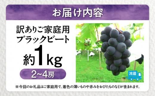 訳あり ご家庭用 ブラックビート 約1kg【2026年8月中旬～2026年9月下旬配送】 372013_T006-225J