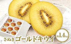 さぬきゴールドキウイ化粧箱　約1.4kg【2025-10月中旬～2026-1月下旬配送】 372013_T006-231J