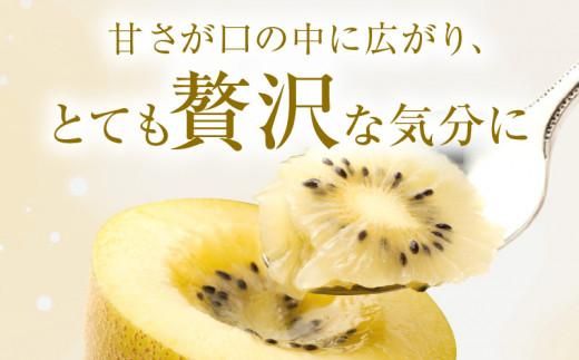 さぬきゴールドキウイ化粧箱　約1.4kg【2025-10月中旬～2026-1月下旬配送】 372013_T006-231J