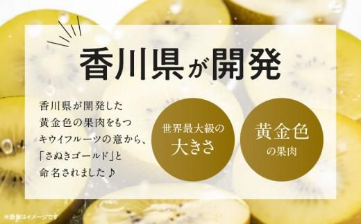 さぬきゴールドキウイ化粧箱　約1.4kg【2025-10月中旬～2026-1月下旬配送】 372013_T006-231J