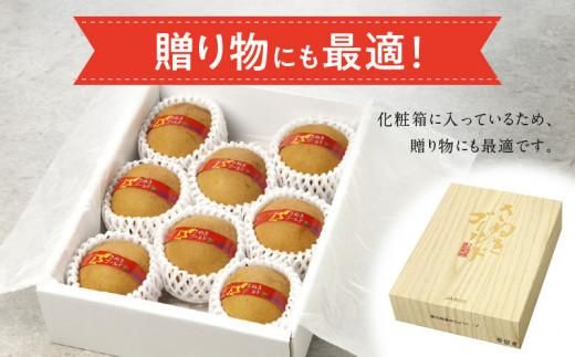 さぬきゴールドキウイ化粧箱　約1.4kg【2025-10月中旬～2026-1月下旬配送】 372013_T006-231J