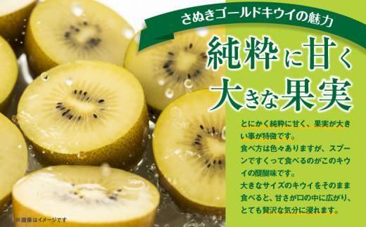 さぬきゴールドキウイ化粧箱(大玉)　約600g【2026年10月中旬～2027年1月下旬配送】 372013_T006-232J