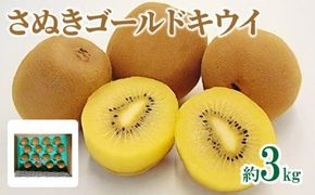 さぬきゴールドキウイ　約3kg【2025-10月中旬～2026-1月下旬配送】 372013_T006-233J